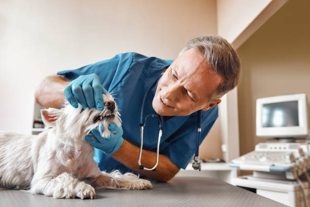 Best Emergency Root Canal Treatment in Bevil Oaks, TX
